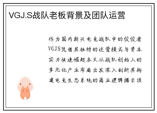 VGJ.S战队老板背景及团队运营